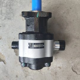 SINOTRUK HOWO T7H T5G Steyr Hydraulic Gear Pump Assembly CBFx-2100Y8C-T